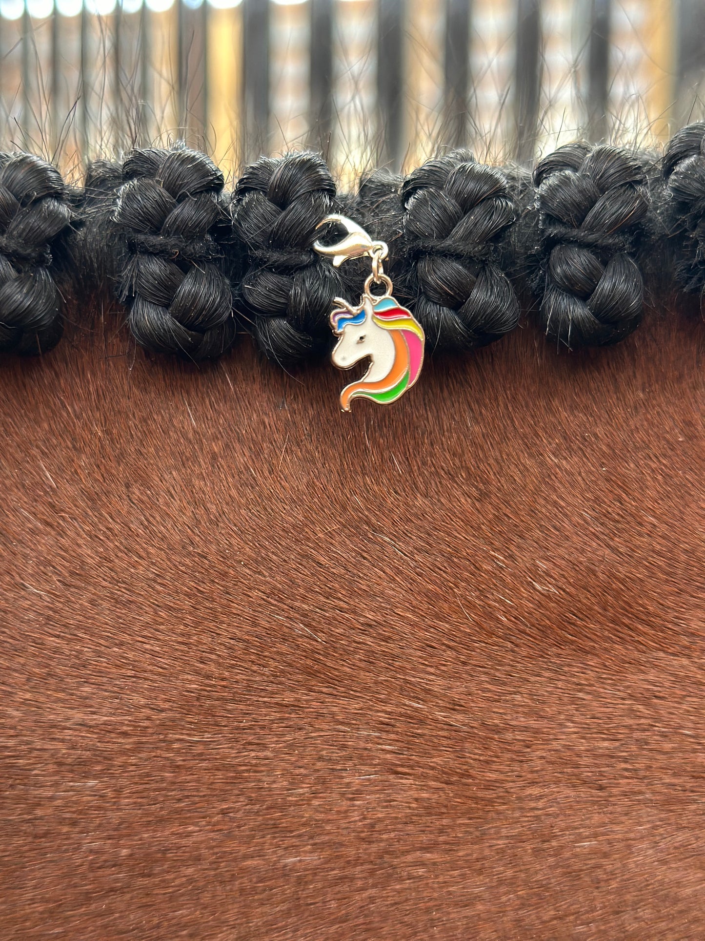 Unicorn Braid Charm