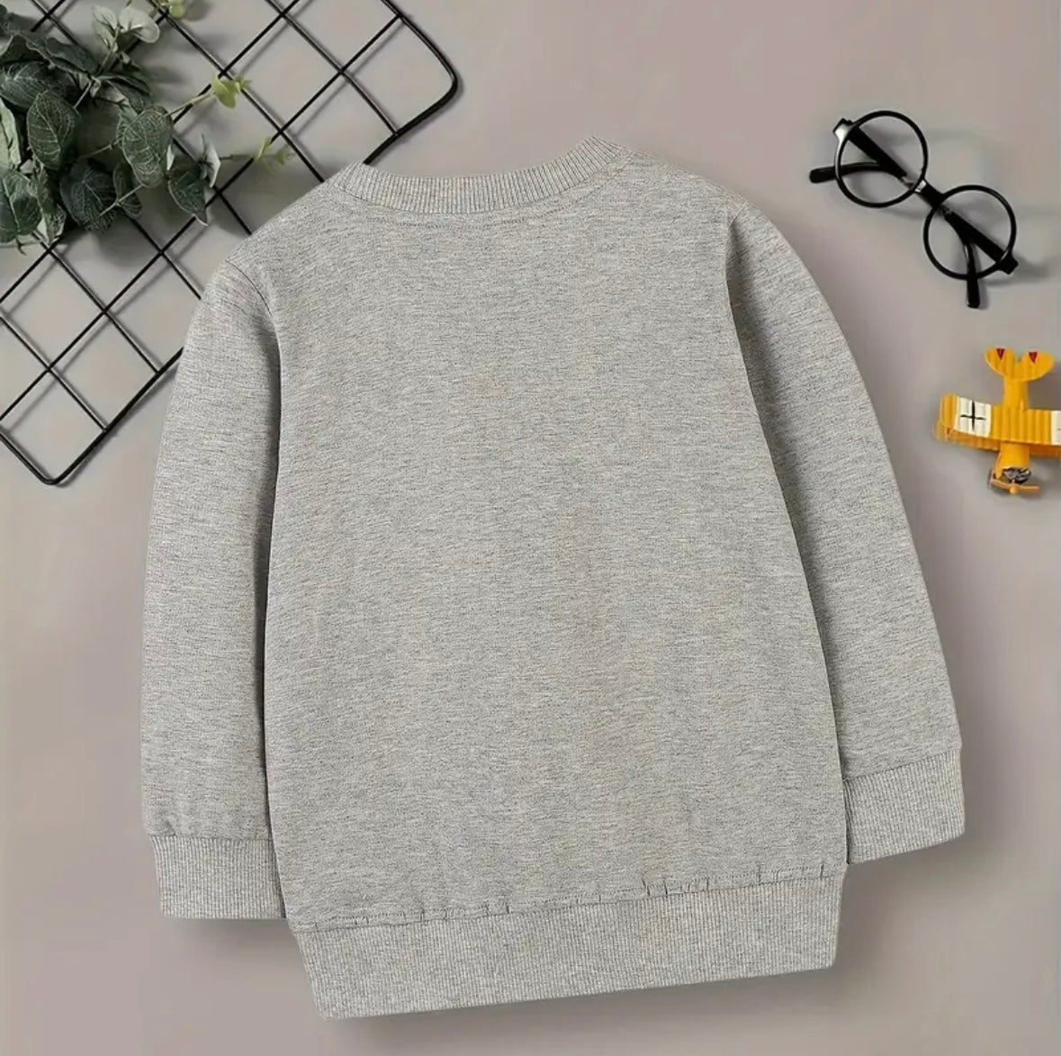 Gray Stitched Sweatshirt, youth