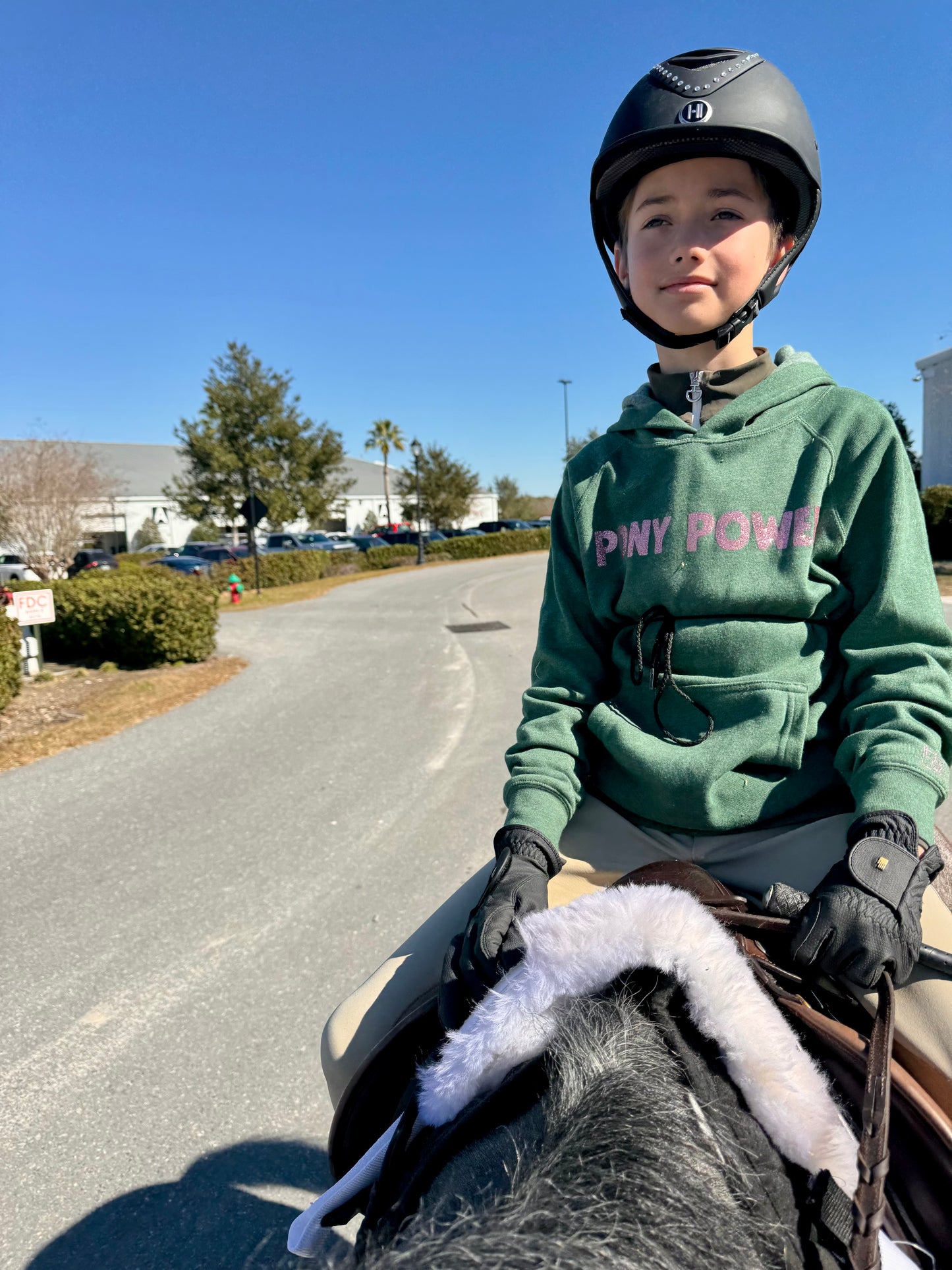 YOUTH PONY POWER HOODIE