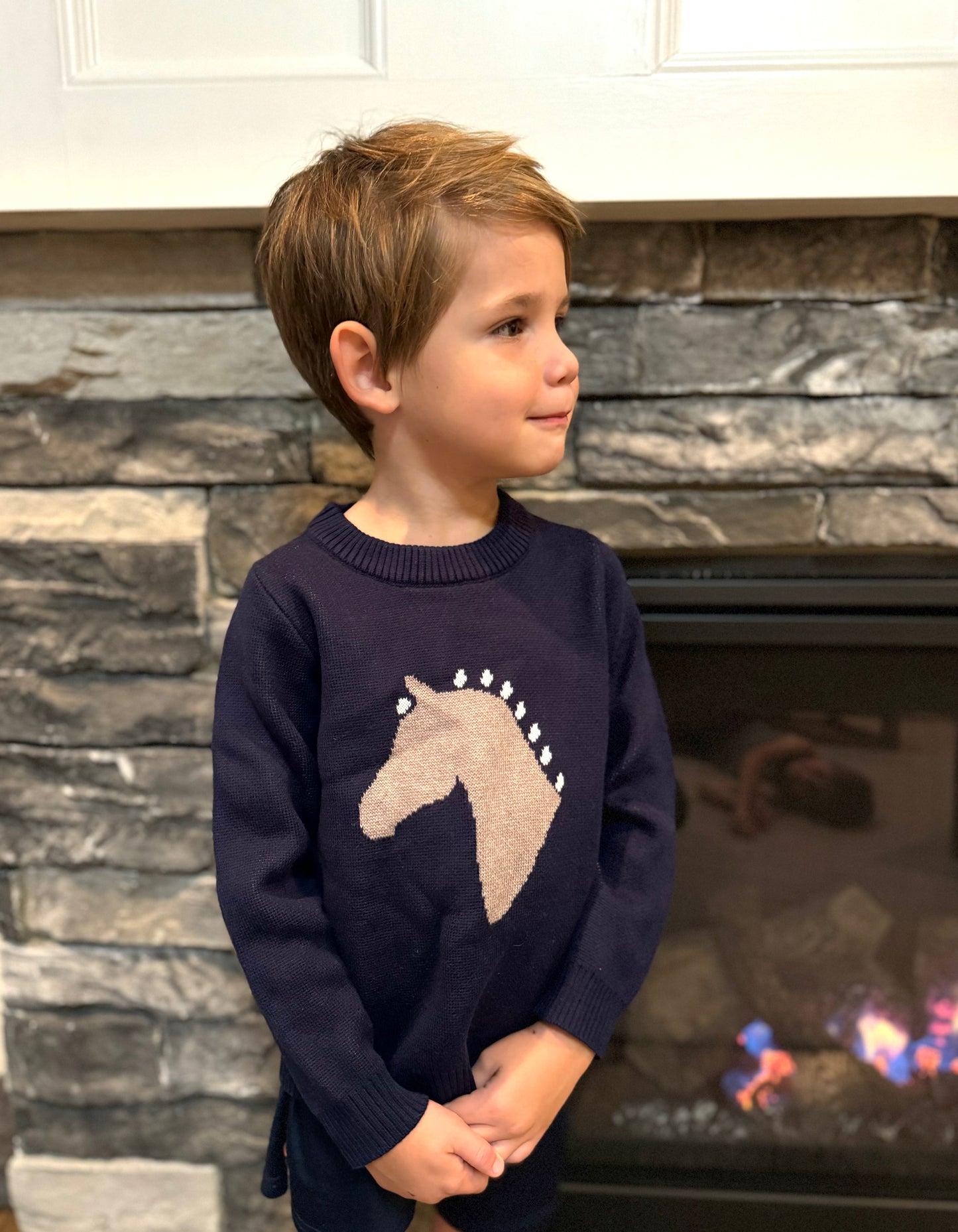 Sweater- Navy Horse