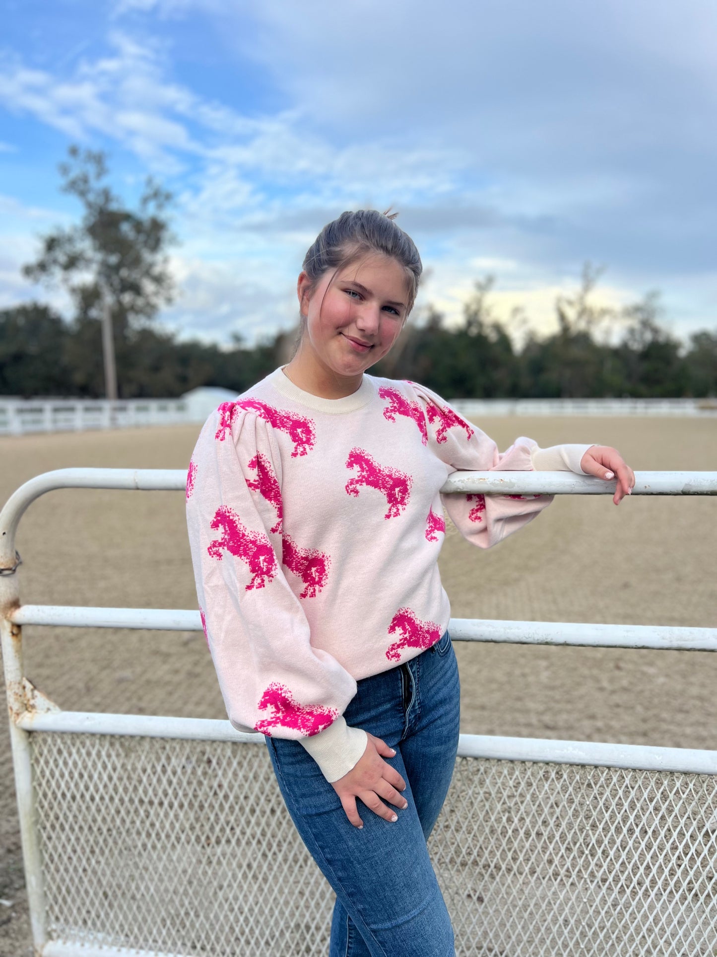 Horse print knit sweater top